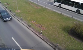 IMAG0009