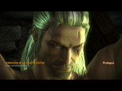 witcher2 2011-05-17 20-25-35-11