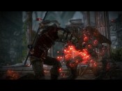 witcher2 2011-05-25 13-18-12-34