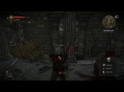 witcher2 2011-05-25 13-18-47-01