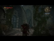witcher2 2011-05-25 13-20-25-37