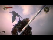 witcher2 2011-05-25 14-42-14-00