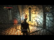 witcher2 2011-05-25 14-44-06-48