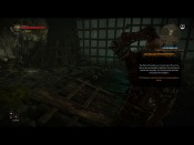 witcher2 2011-06-03 20-16-20-66