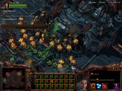 SC2 2013-03-24 20-02-45-82